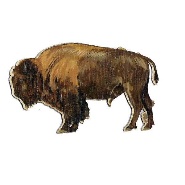 Bison