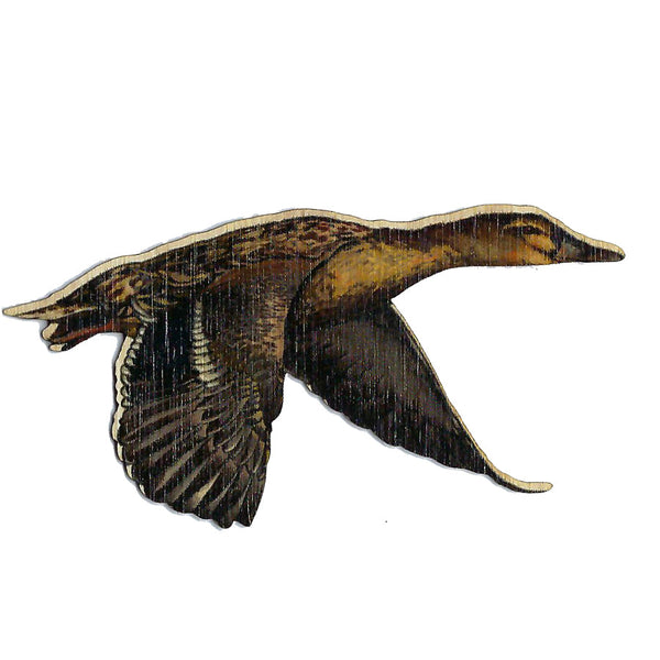 Brown Flying Duck