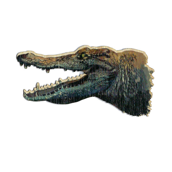 Crocodile Head