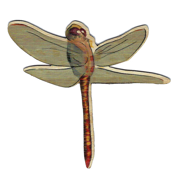 Dragon Fly