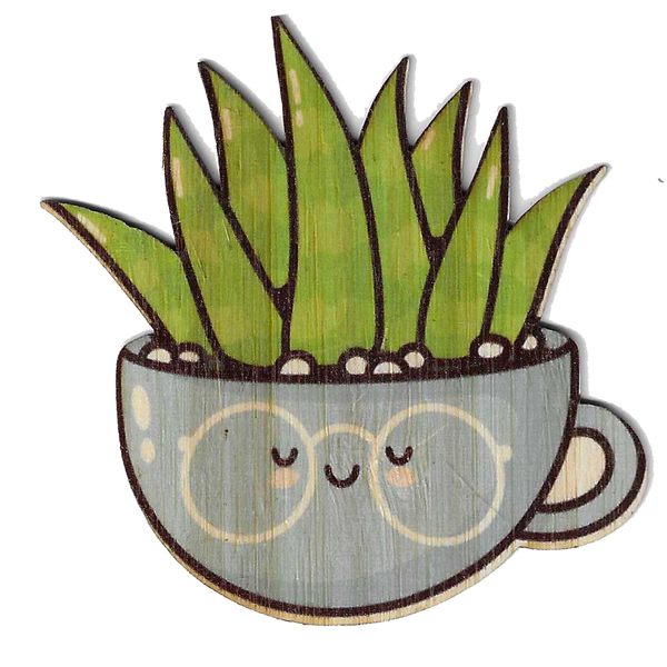 Succulent 2