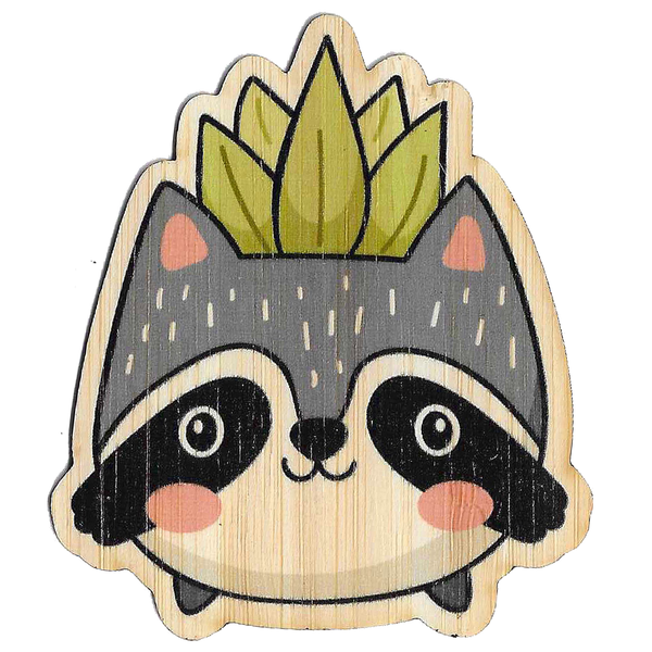 Raccoon Succulent