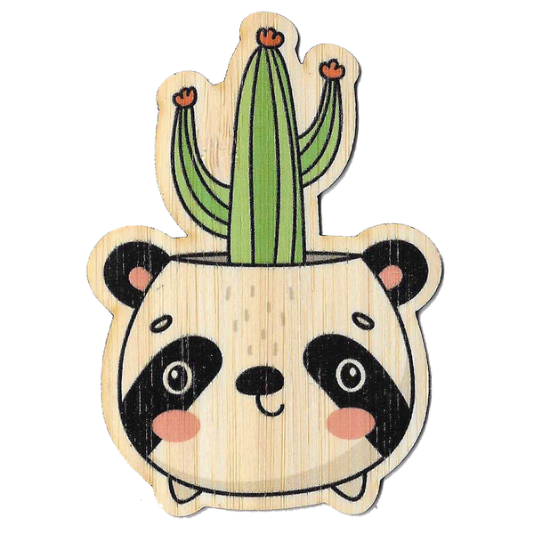 Panda Bear Cactus