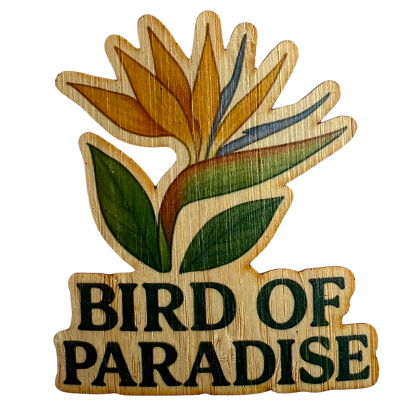 Bird of Paradise