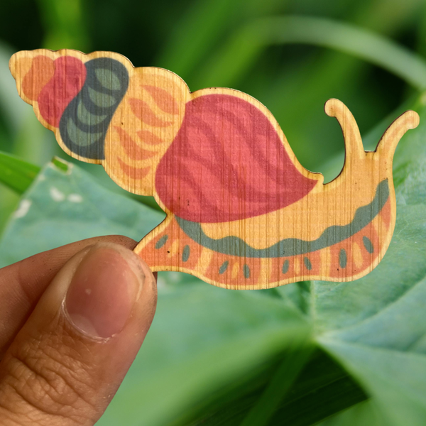 Colorful Snail