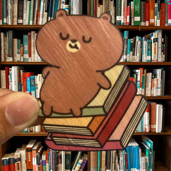 Sleeping Bear On Books