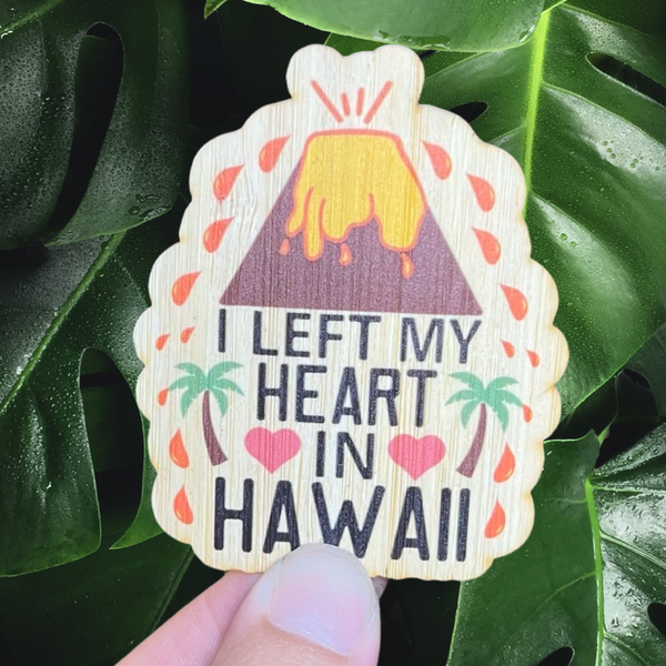 I Left My Heart in Hawaii