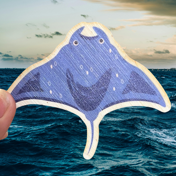 Manta Ray