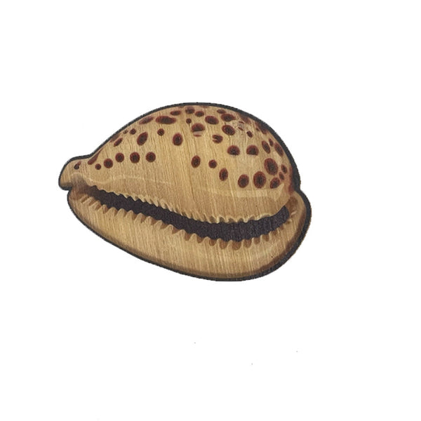 Cowrie Shell