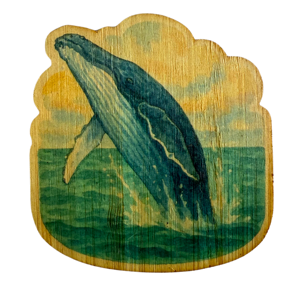 Humpback Whale