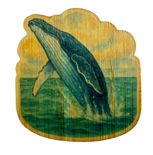 Humpback Whale
