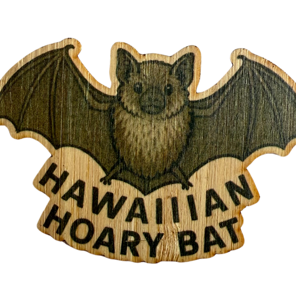 Hawn Hoary Bat