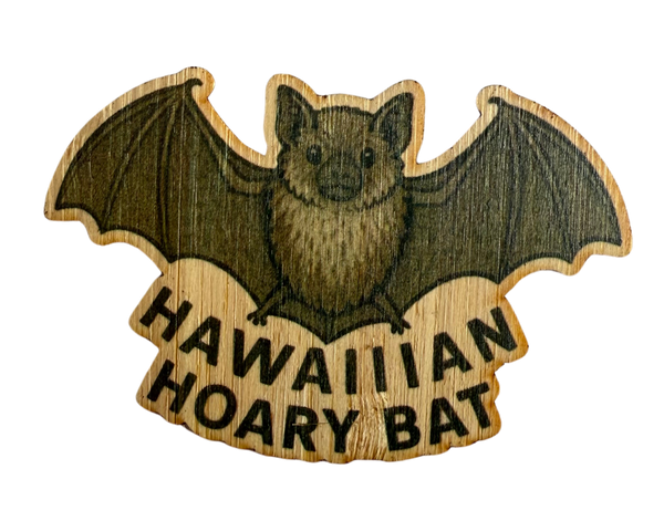 Hawn Hoary Bat