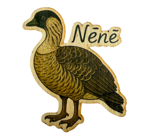 Nene Bird