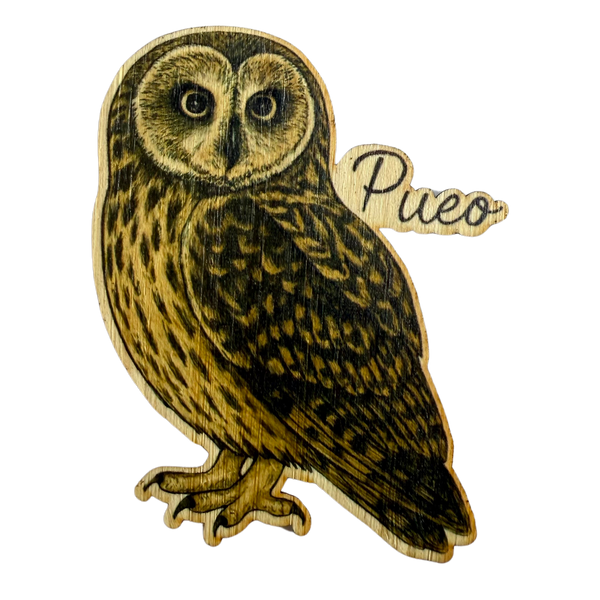 Pueo (Owl)