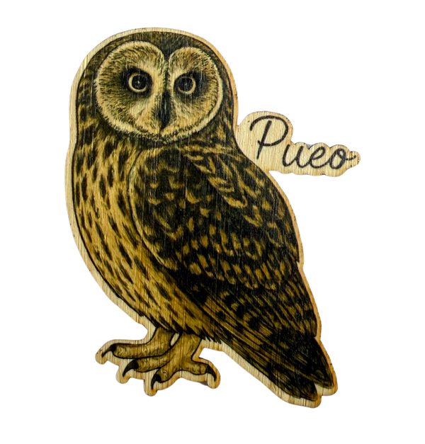 Pueo (Owl)