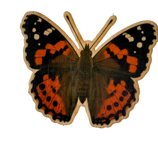 Kamehameha Butterfly