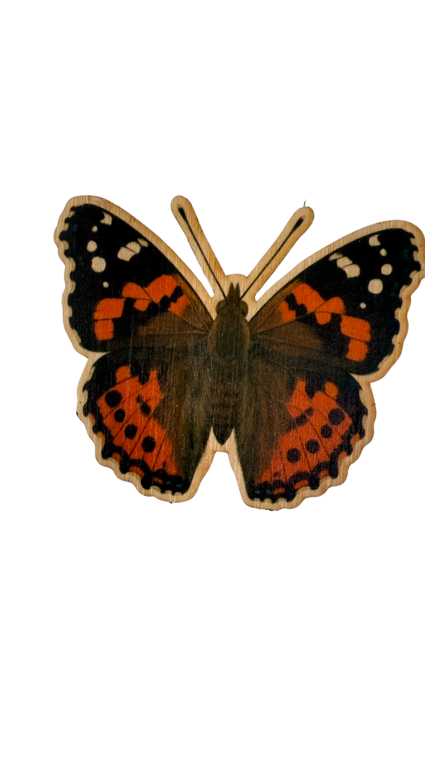 Kamehameha Butterfly