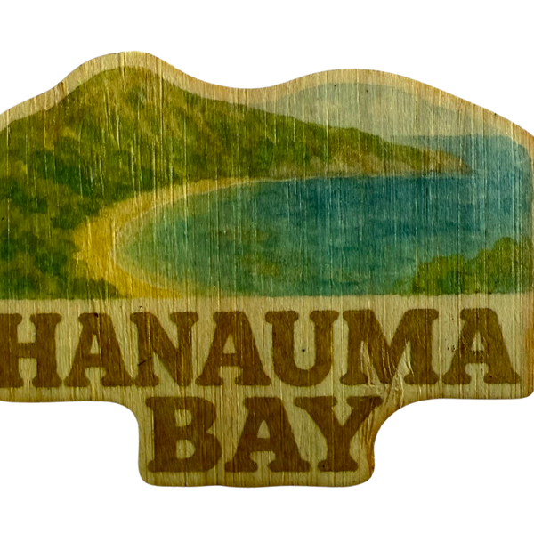 Hanauma Bay Aerial