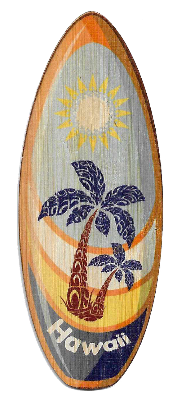 Hawaii Surfboard