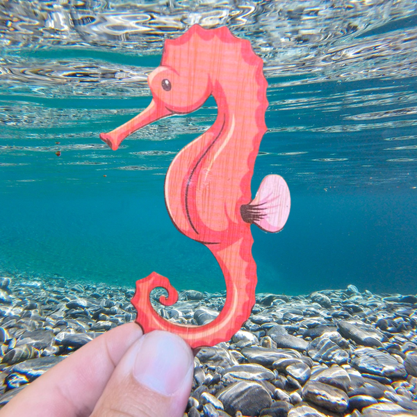 Seahorse