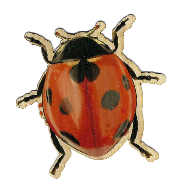 Ladybug