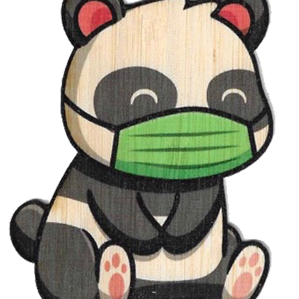 Masked Panda