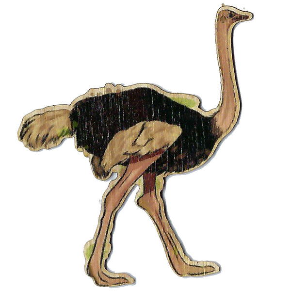 Ostrich