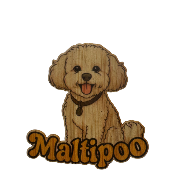 Maltipoo