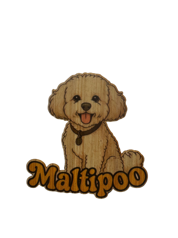 Maltipoo