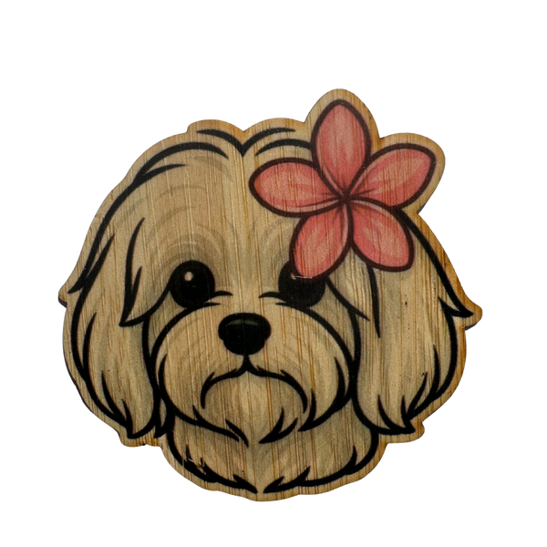 Tropical Lhasa Apso