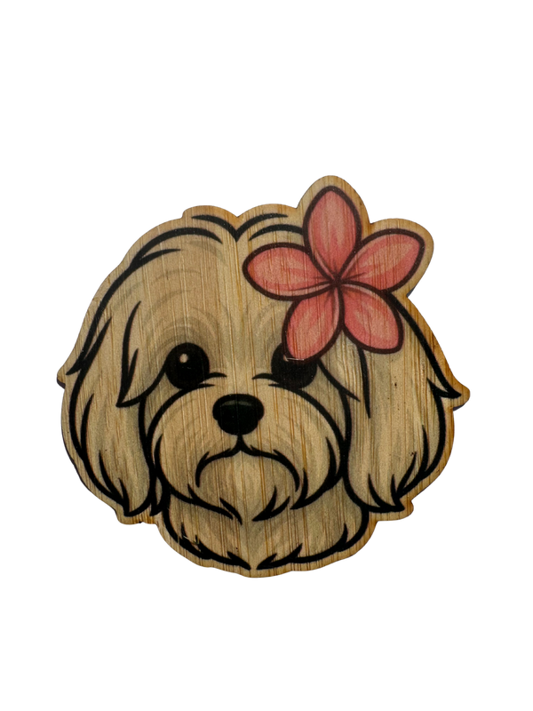 Tropical Lhasa Apso