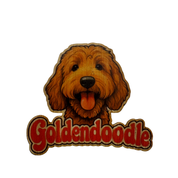 Goldendoodle #2