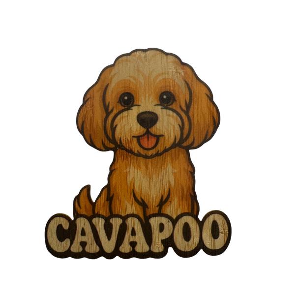 Cavapoo