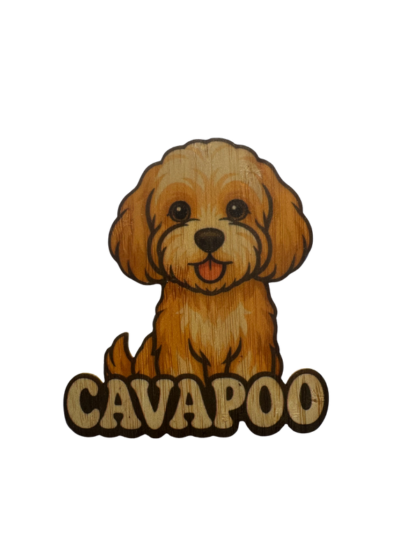 Cavapoo