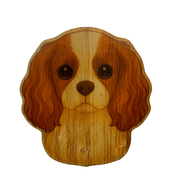 King Charles Cavalier