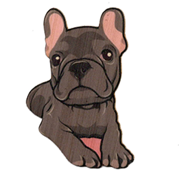 Frenchie Bulldog