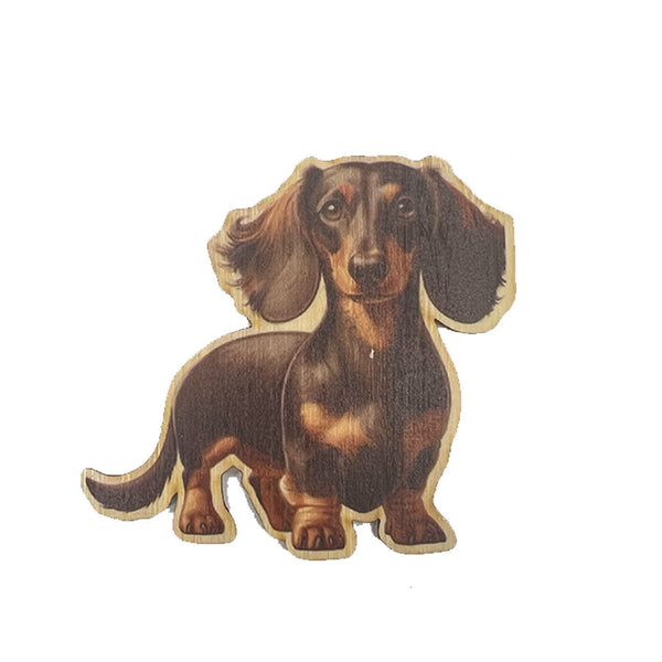 Dachshund