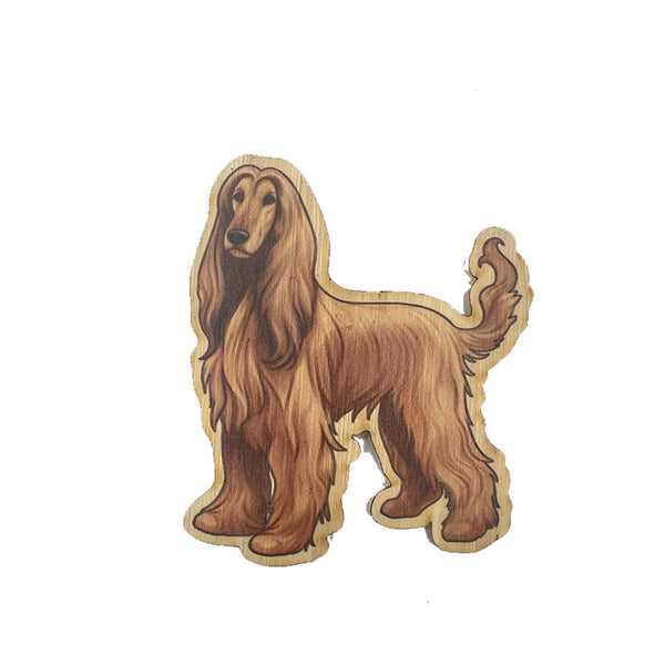 Afghan Hound