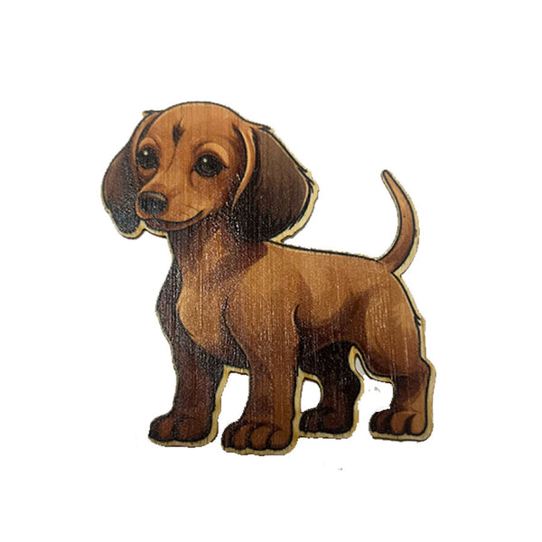 Brown Dachshund