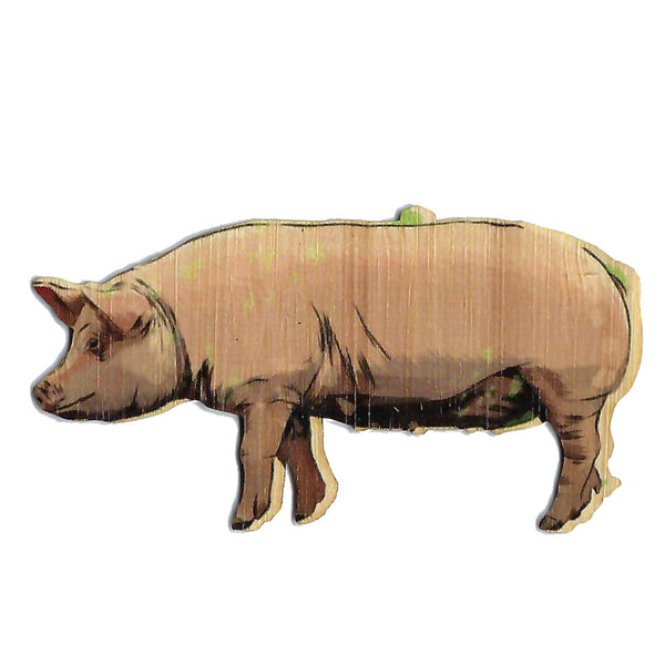 Pig