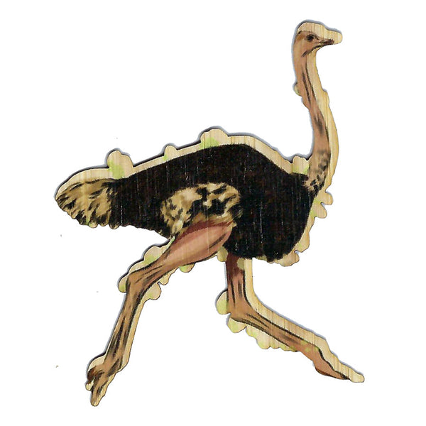 Running Ostrich