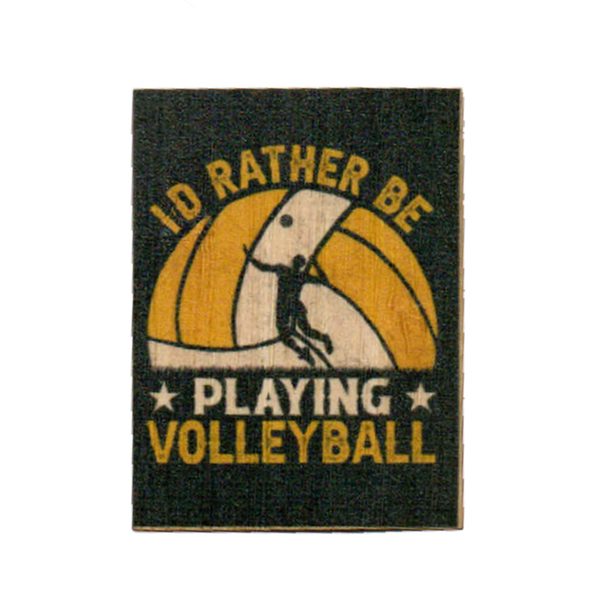 I'd Rather Be Playing Volleyball