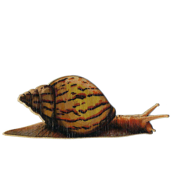 Snail