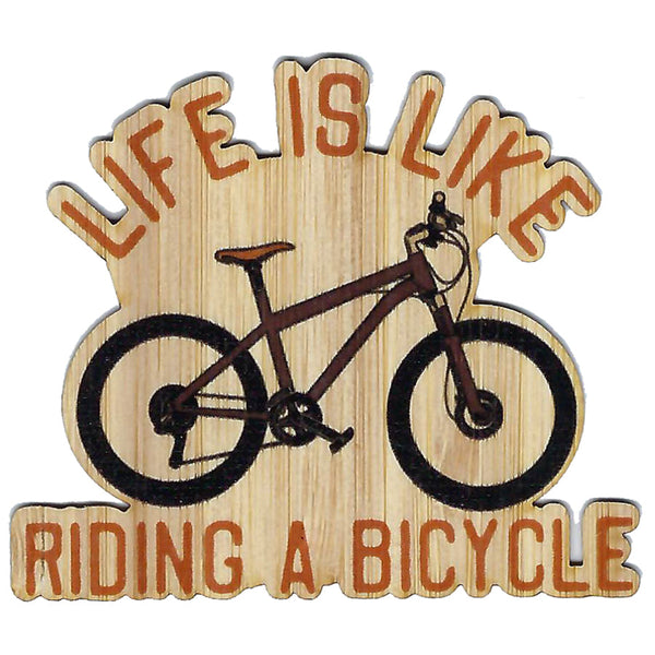 Life Is Like Riding A Bicycle