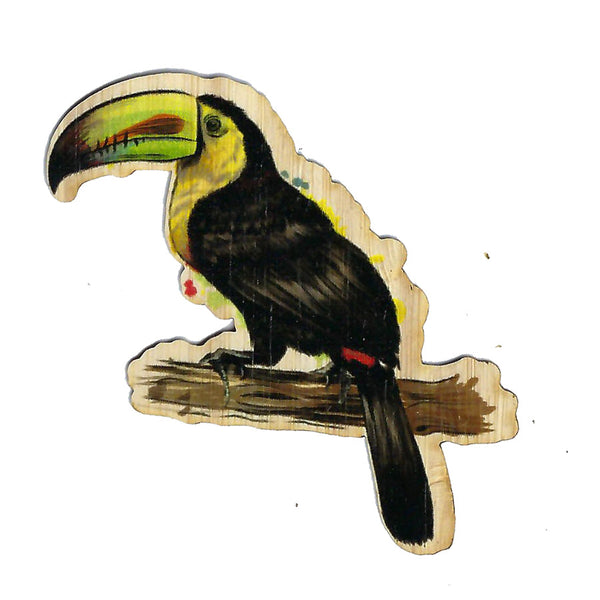 Toucan #2