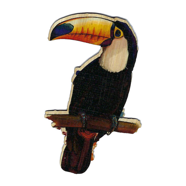 Toucan