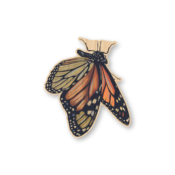 Monarch Butterfly #2
