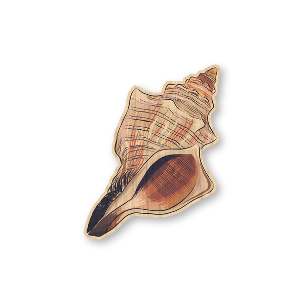 Seashell