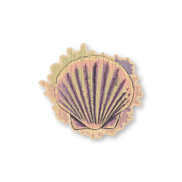 Colorful Shell